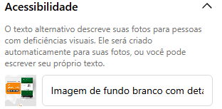 Instagram no Google: Esqueça o que você sabe sobre Marketing Digital 6 acessibilidade1